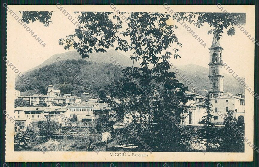 Varese Viggiù cartolina EE6743 – fronte
