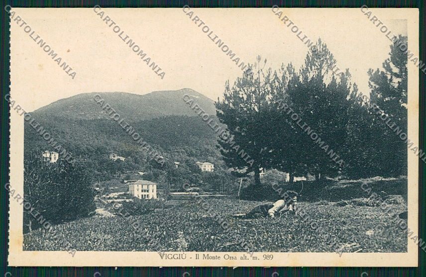 Varese Viggiù cartolina EE6744 – fronte
