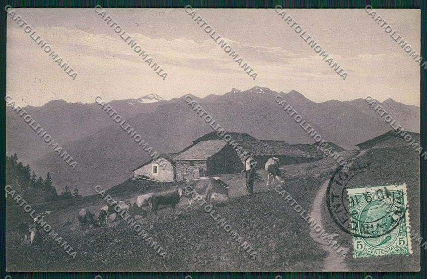 Aosta Saint Vincent cartolina EE7204 – fronte