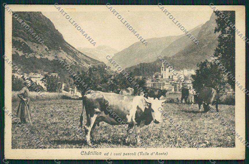 Aosta Chatillon cartolina EE7235 – fronte