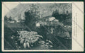 Cuneo Crissolo cartolina EE7346 – fronte