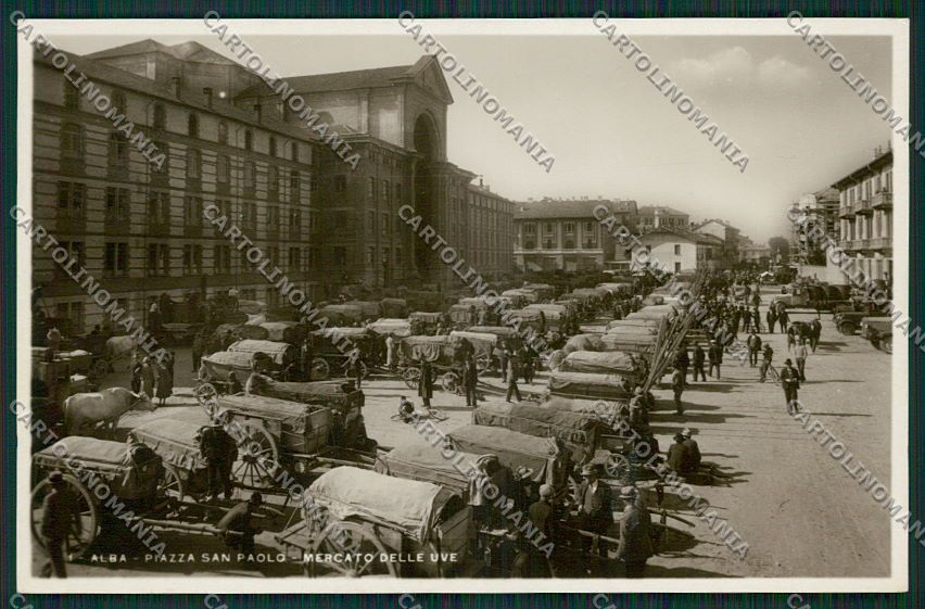 Cuneo Alba Mercato Uva Foto cartolina EE7379 – fronte