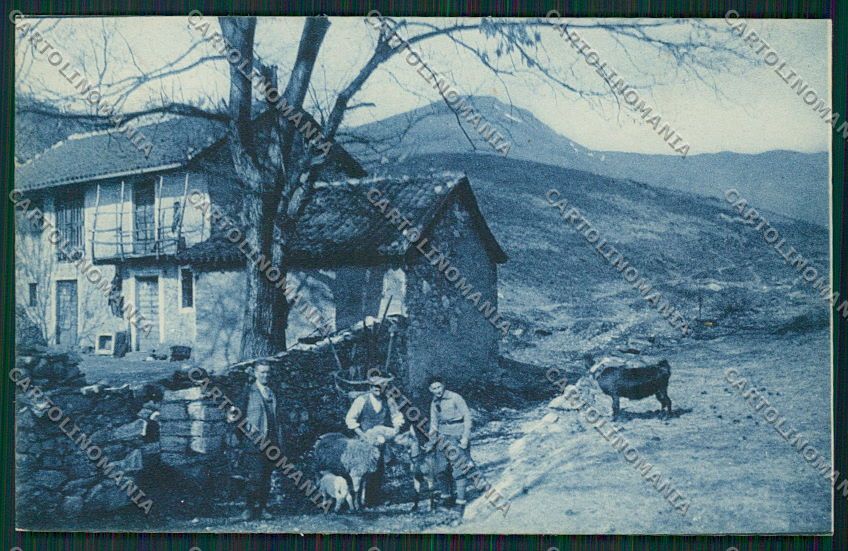 Verbania Massino Alpe Pianzaghi cartolina EE7594 – fronte