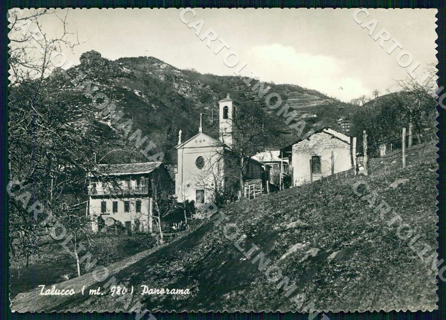 Torino Talucco Panorama FG Foto cartolina GM0022 – fronte