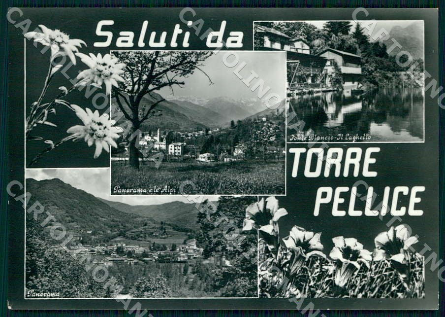 Torino Torre Pellice Saluti da Fonte Blancio Laghetto FG Foto cartolina GM0025 – fronte