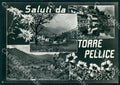 Torino Torre Pellice Saluti da Fonte Blancio Laghetto FG Foto cartolina GM0025 – fronte