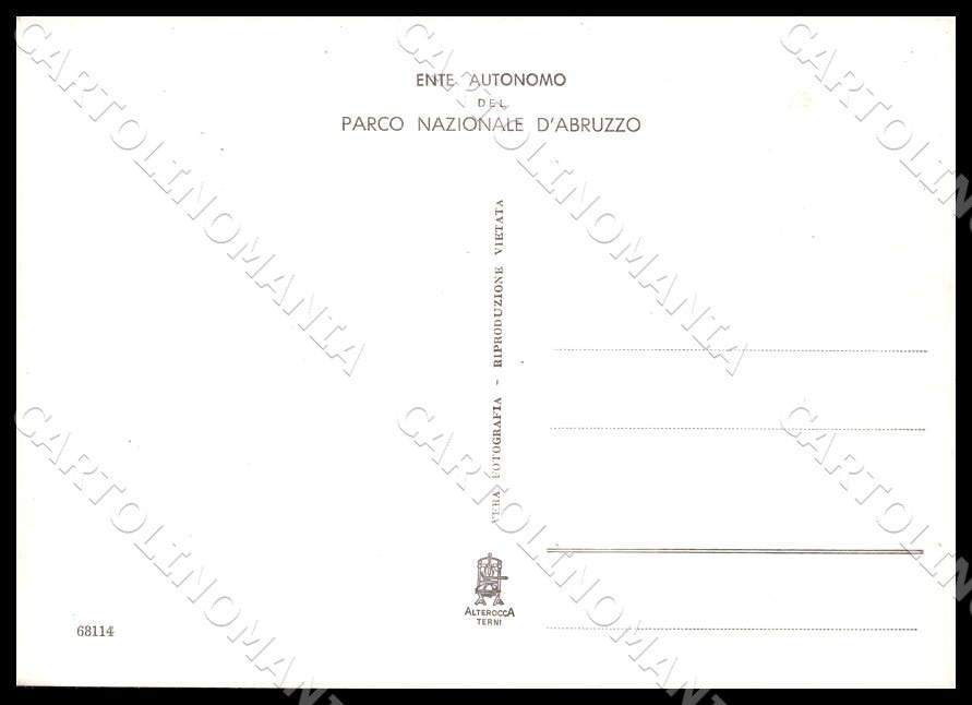 L'Aquila Barrea Parco Nazionale Abruzzo Alterocca FG Foto cartolina GM0128 – retro