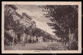 L'Aquila Avezzano Via Littorio Alterocca cartolina GM0136 – fronte
