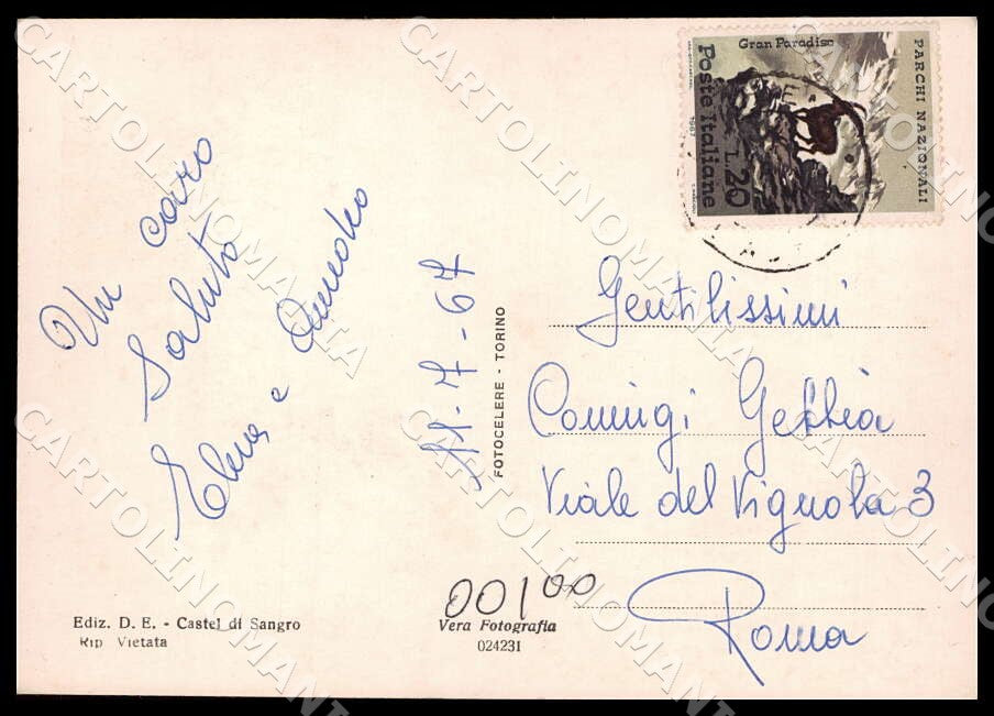 L'Aquila Castel di Sangro Stazione climatica estiva FG Foto cartolina GM0281 – retro
