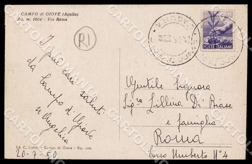 L'Aquila Campo di Giove Via Roma RIFILATA cartolina GM0303 – retro