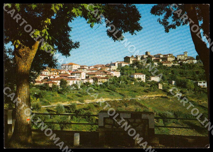 L'Aquila Montereale Panorama parziale FG cartolina GM0371 – fronte