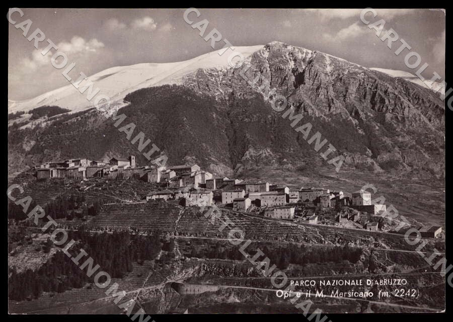 L'Aquila Opi Parco Nazionale Abruzzo Monte Marsicano FG Foto cartolina GM0413 – fronte