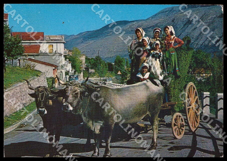 L'Aquila Pratola Peligna Costumi Abruzzesi Festa dell'Uva FG cartolina GM0435 – fronte