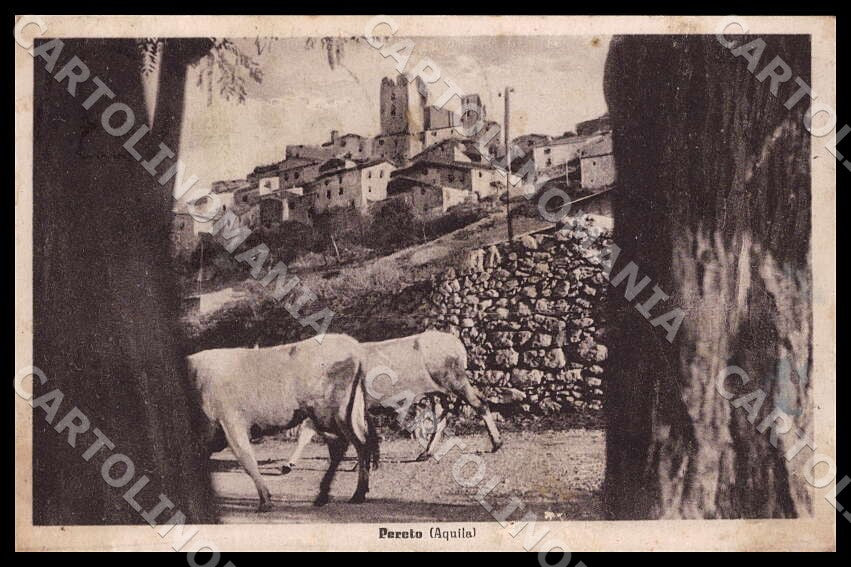 L'Aquila Pereto Alterocca MACCHIE cartolina GM0445 – fronte
