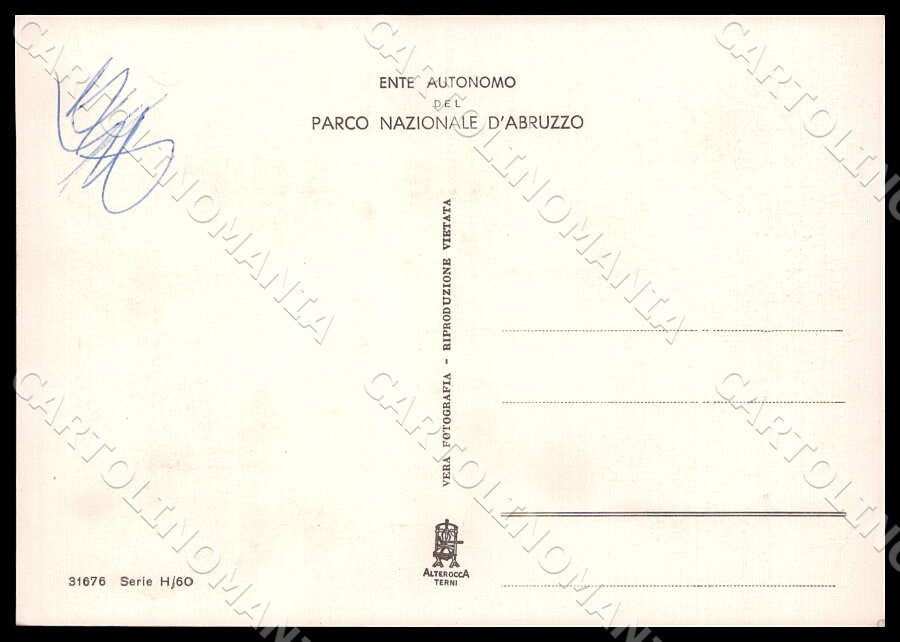 L'Aquila Pescasseroli Parco Nazionale d'Abruzzo Costumi FG Foto cartolina GM0462 – retro