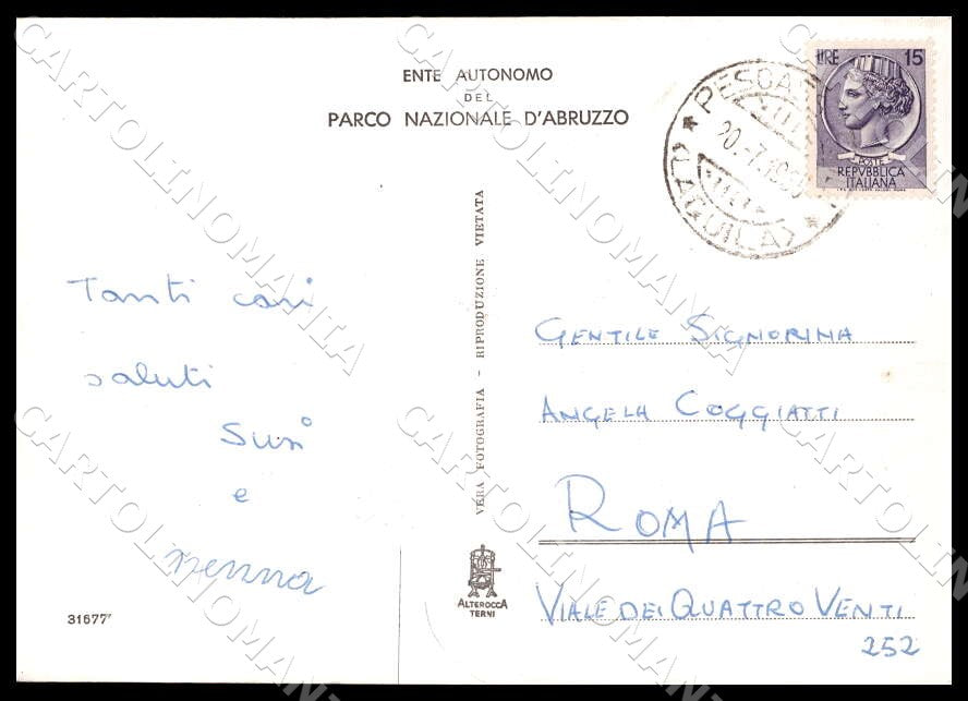 L'Aquila Pescasseroli Parco Nazionale d'Abruzzo Costumi FG Foto cartolina GM0464 – retro