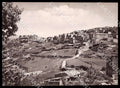 L'Aquila Morino Rendinara Panorama Alterocca FG Foto cartolina GM0528 – fronte