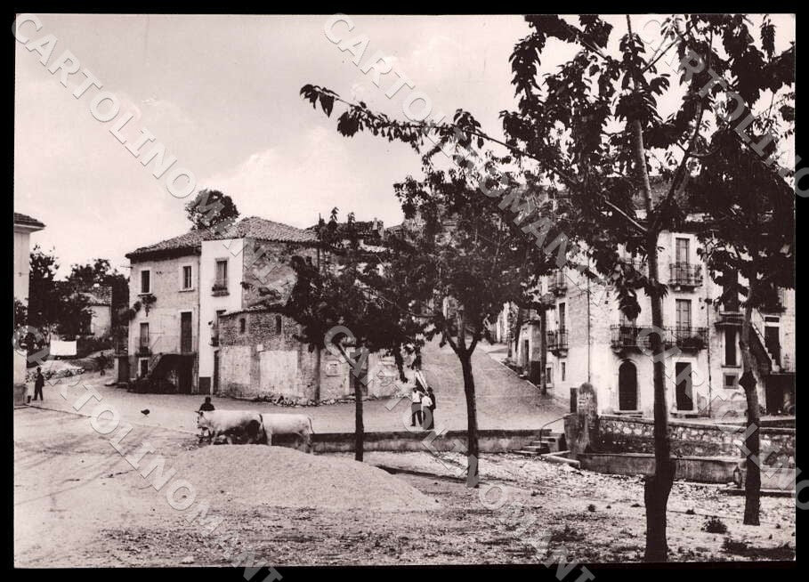 L'Aquila San Benedetto in Perillis Piazza Mercato FG Foto cartolina GM0565 – fronte