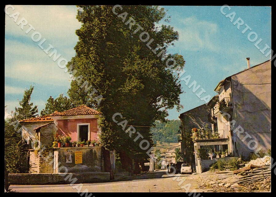 L'Aquila Carsoli Tufo Basso Viale Olmi Auto FG Foto cartolina GM0744 – fronte