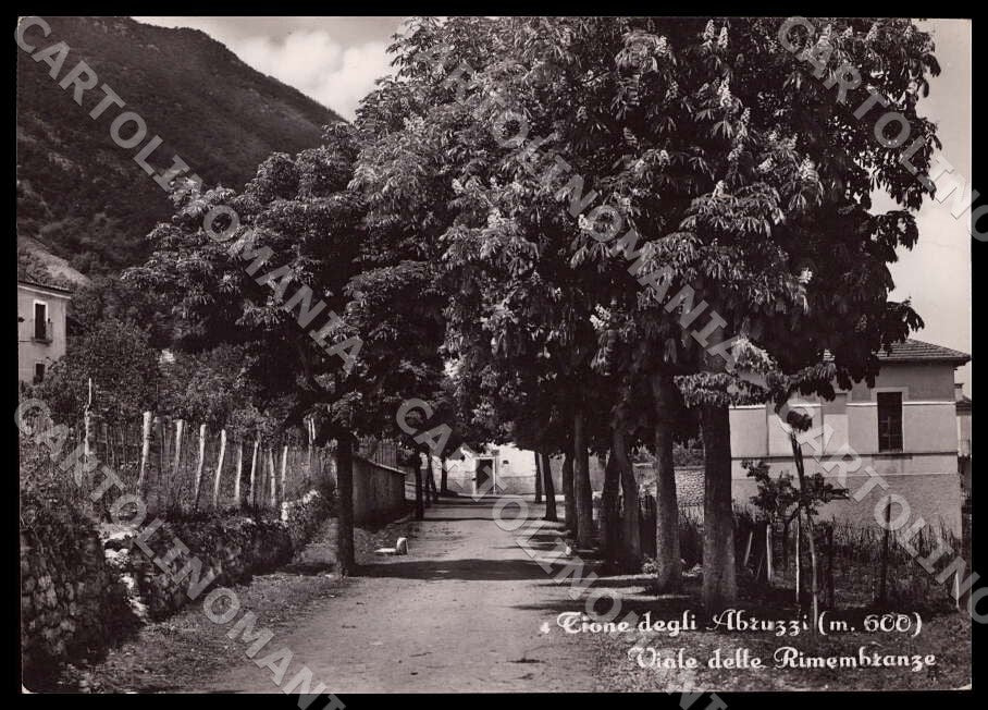 L'Aquila Tione degli Abruzzi Viale Rimembranze FG Foto cartolina GM0747 – fronte