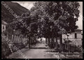 L'Aquila Tione degli Abruzzi Viale Rimembranze FG Foto cartolina GM0747 – fronte