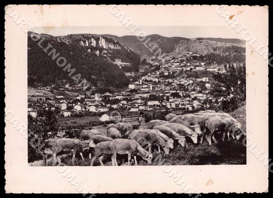 L'Aquila Tagliacozzo Panorama Gregge FG Foto cartolina GM0768 – fronte