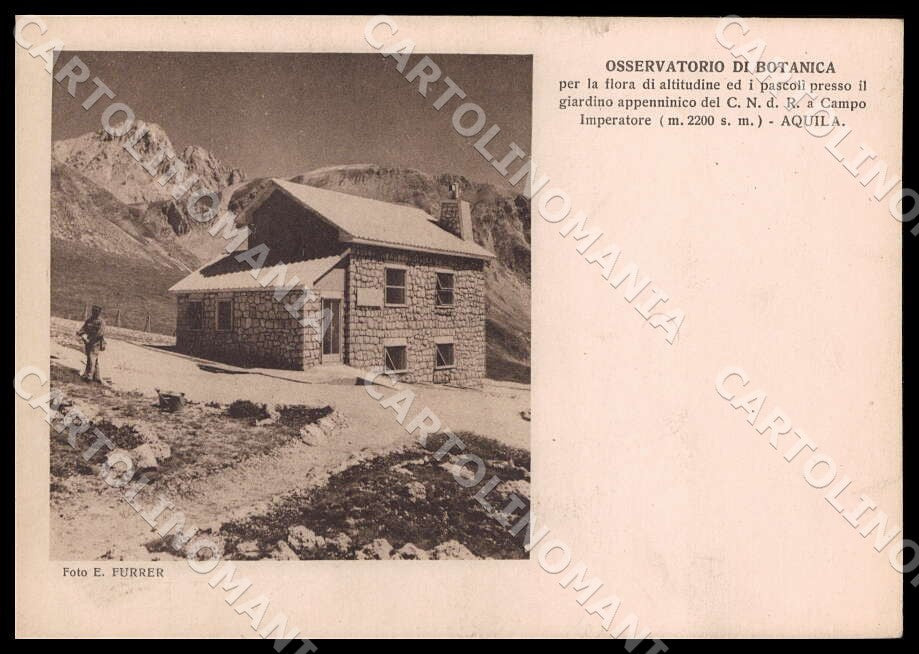 L'Aquila Campo Imperatore Osservatorio Botanica Autog Rivera FG cartolina GM0861 – fronte