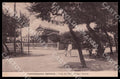Pescara Castellammare Adriatico Viale Pini Villino Treccia cartolina GM0917 – fronte