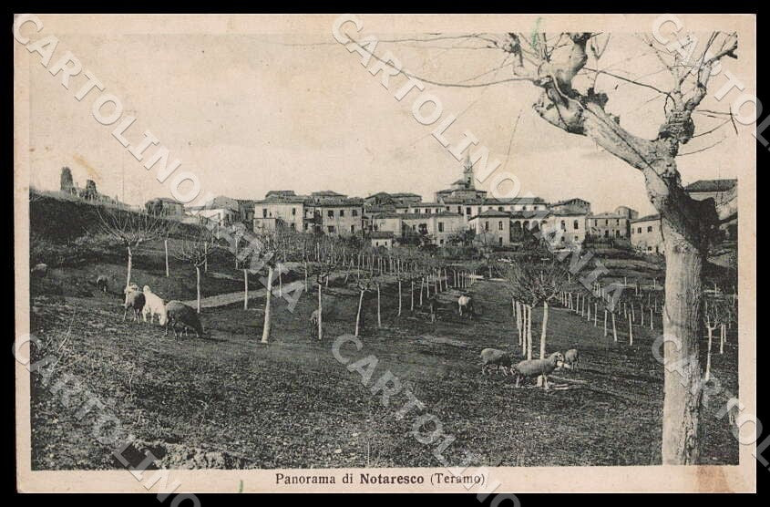 Teramo Notaresco Panorama Gregge cartolina GM1034 – fronte