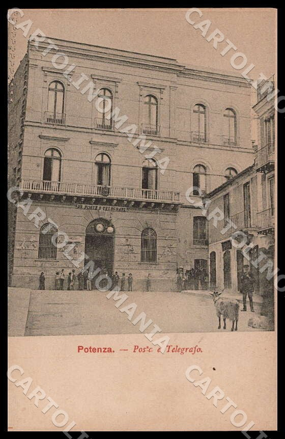 Potenza Città Poste Telegrafo Capra SCOLLATA cartolina GM1122 – fronte