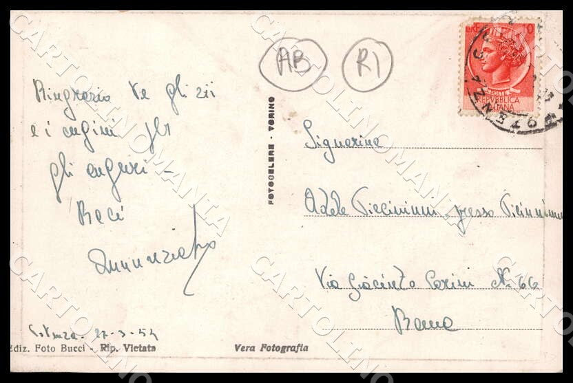 Potenza Città Piazza Mario Pagano Auto ABRASA RIFILATA Foto cartolina GM1278 – retro