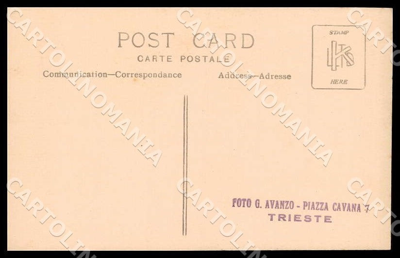 Trieste Città Acquario Murex Adamsia Rondelettii Foto cartolina GM1282 – retro