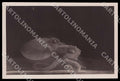 Napoli Città Acquario Octopus Polpo Pulp Eight-armed Foto cartolina GM1290 – fronte