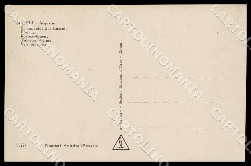 Napoli Città Acquario Spirographis Spallanzani Fiocchi Foto cartolina GM1291 – retro