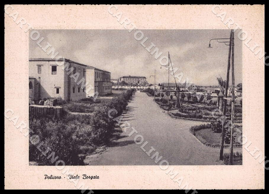 Matera Policoro Viale Borgata FG cartolina GM1379 – fronte