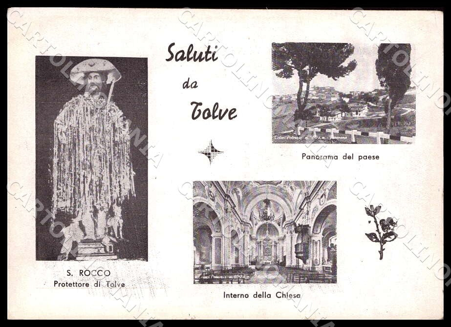 Potenza Tolve Saluti da Santo Rocco Protettore Panorama FG cartolina GM1393 – fronte