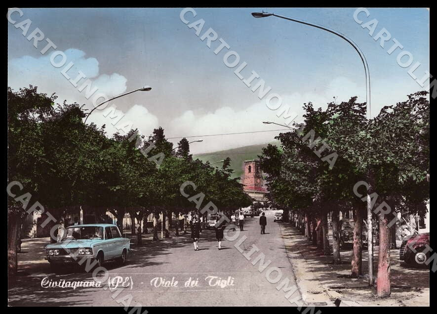 Pescara Civitaquana Viale Tigli Auto FG Foto cartolina GM1447 – fronte