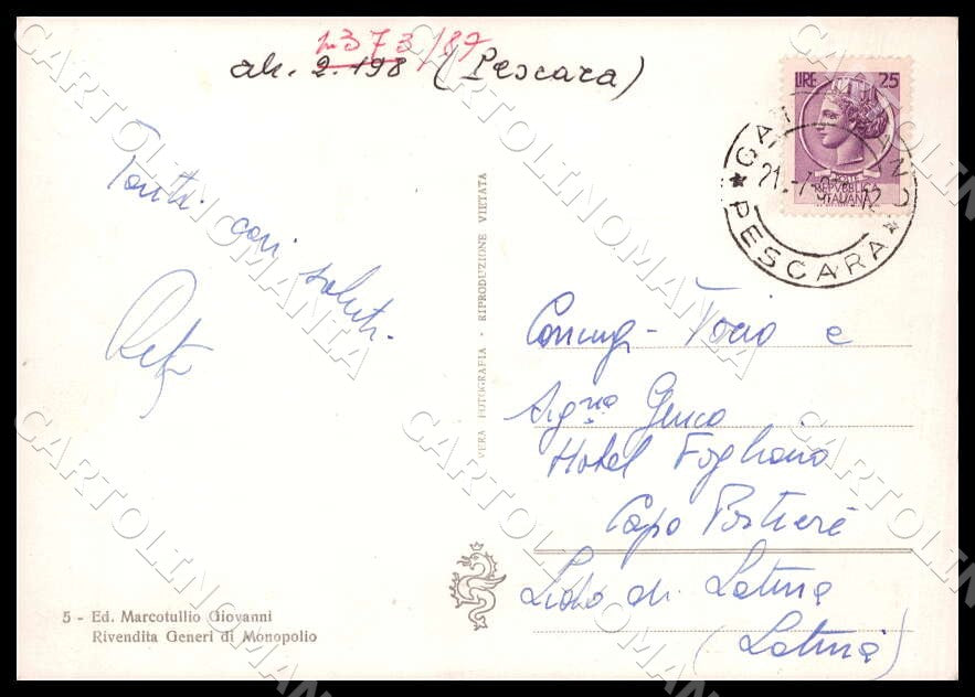Pescara Civitaquana Viale Tigli Auto FG Foto cartolina GM1447 – retro