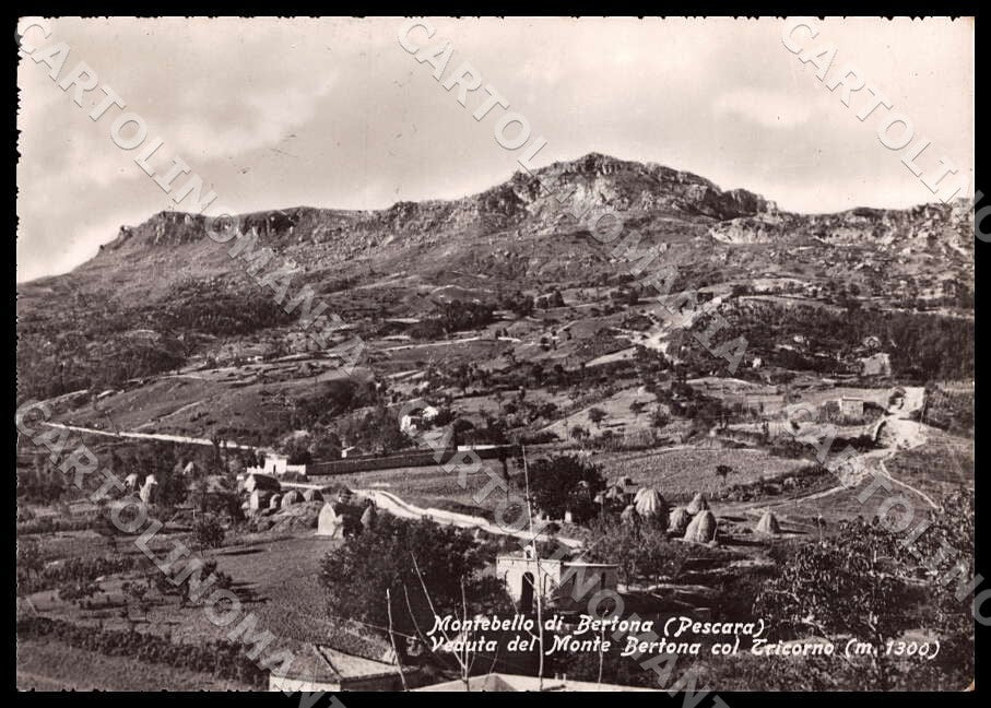 Pescara Montebello di Bertona Veduta Monte Tricorno FG Foto cartolina GM1463 – fronte