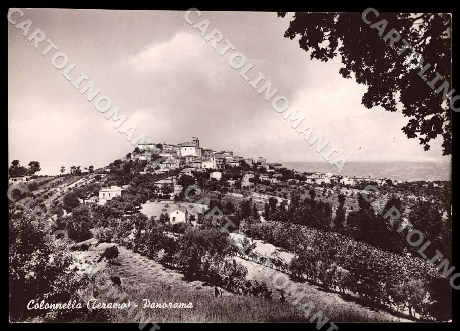 Teramo Colonnella Panorama FG Foto cartolina GM1532 – fronte