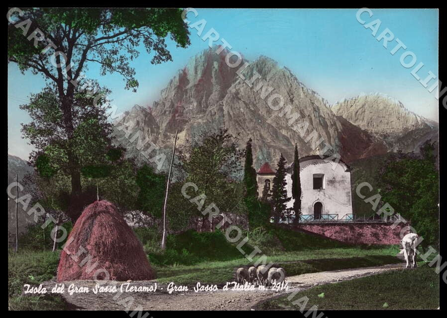 Teramo Isola del Gran Sasso d'Italia Gregge FG Foto cartolina GM1557 – fronte