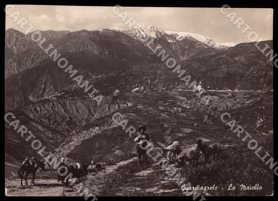 Chieti Guardiagrele Maiella Gregge Asino FG Foto cartolina GM1665 – fronte