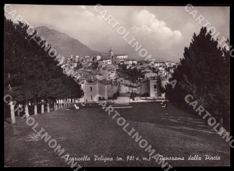 Chieti Torricella Peligna Panorama Pineta Alterocca FG Foto cartolina GM1751 – fronte
