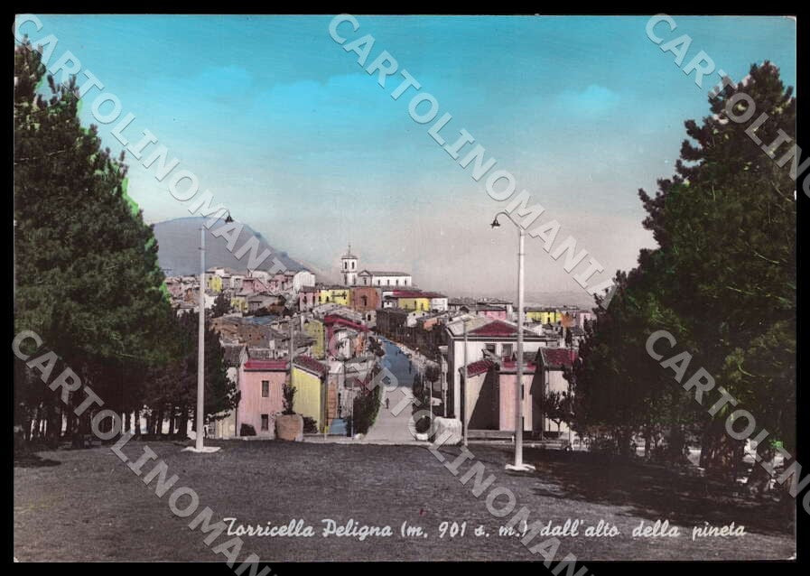 Chieti Torricella Peligna Alto pineta Alterocca FG Foto cartolina GM1755 – fronte