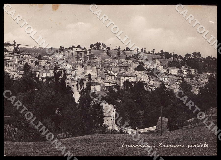 Chieti Tornareccio Panorama parziale ABRASA MACCHIA FG Foto cartolina GM1757 – fronte