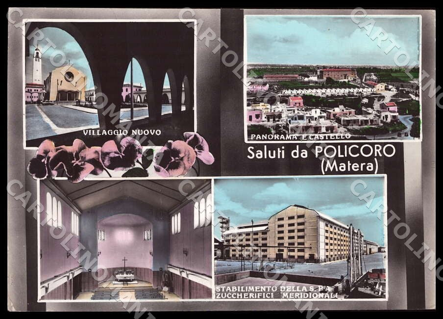 Matera Policoro Saluti da Villaggio Nuovo Panorama FG Foto cartolina GM1807 – fronte