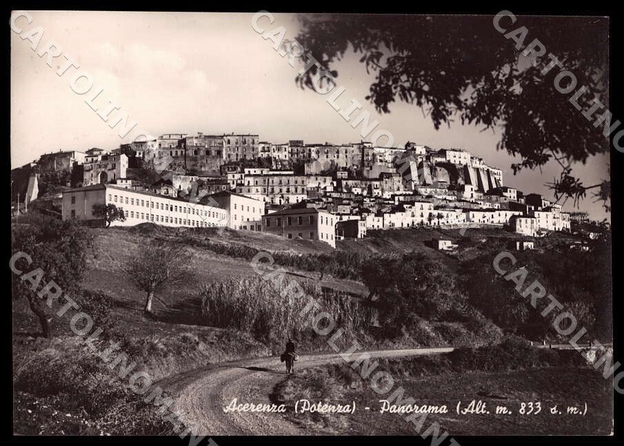 Potenza Acerenza Panorama Asino FG Foto cartolina GM1836 – fronte