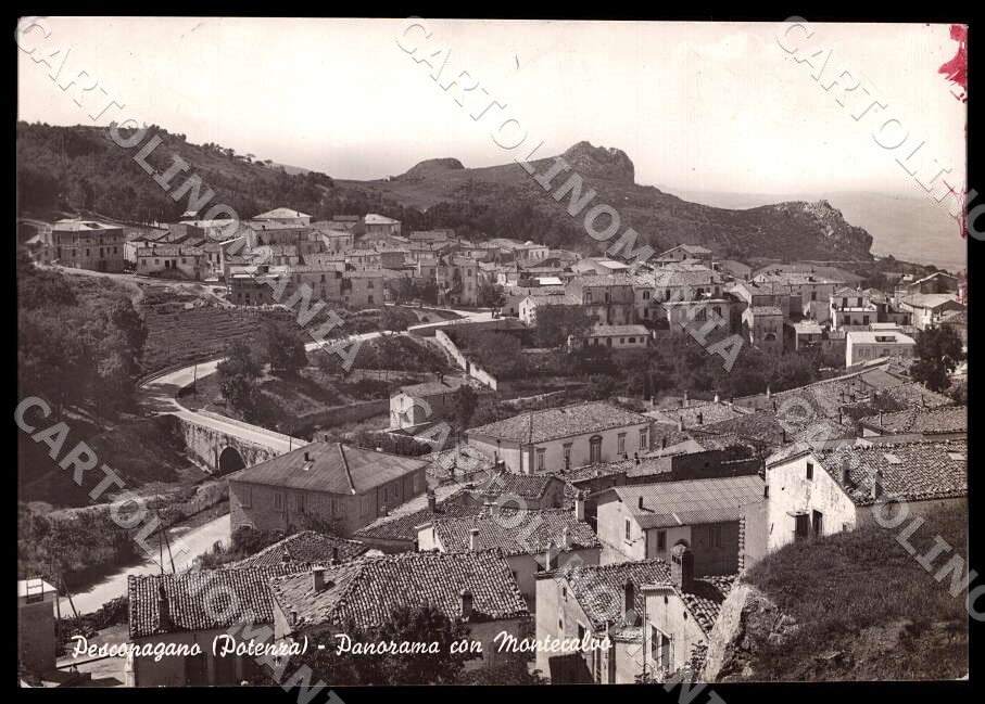 Potenza Pescopagano Panorama Montecalvo MACCHIA FG Foto cartolina GM1839 – fronte