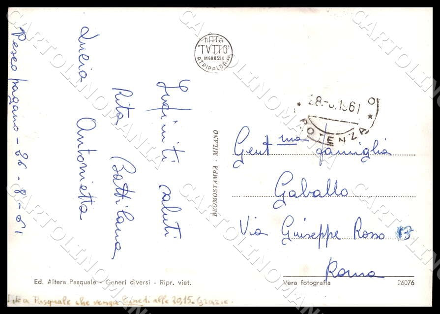 Potenza Pescopagano Corso Umberto Auto FG Foto cartolina GM1842 – retro