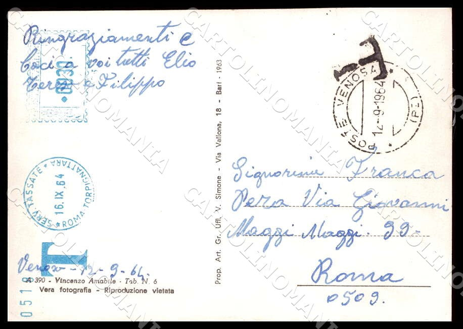 Potenza Venosa Piazza Orazio Flacco Auto FG Foto cartolina GM1900 – retro